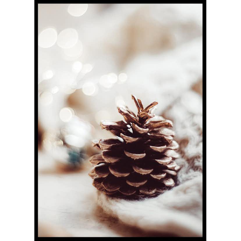 Poster Gallerix Fir Cone