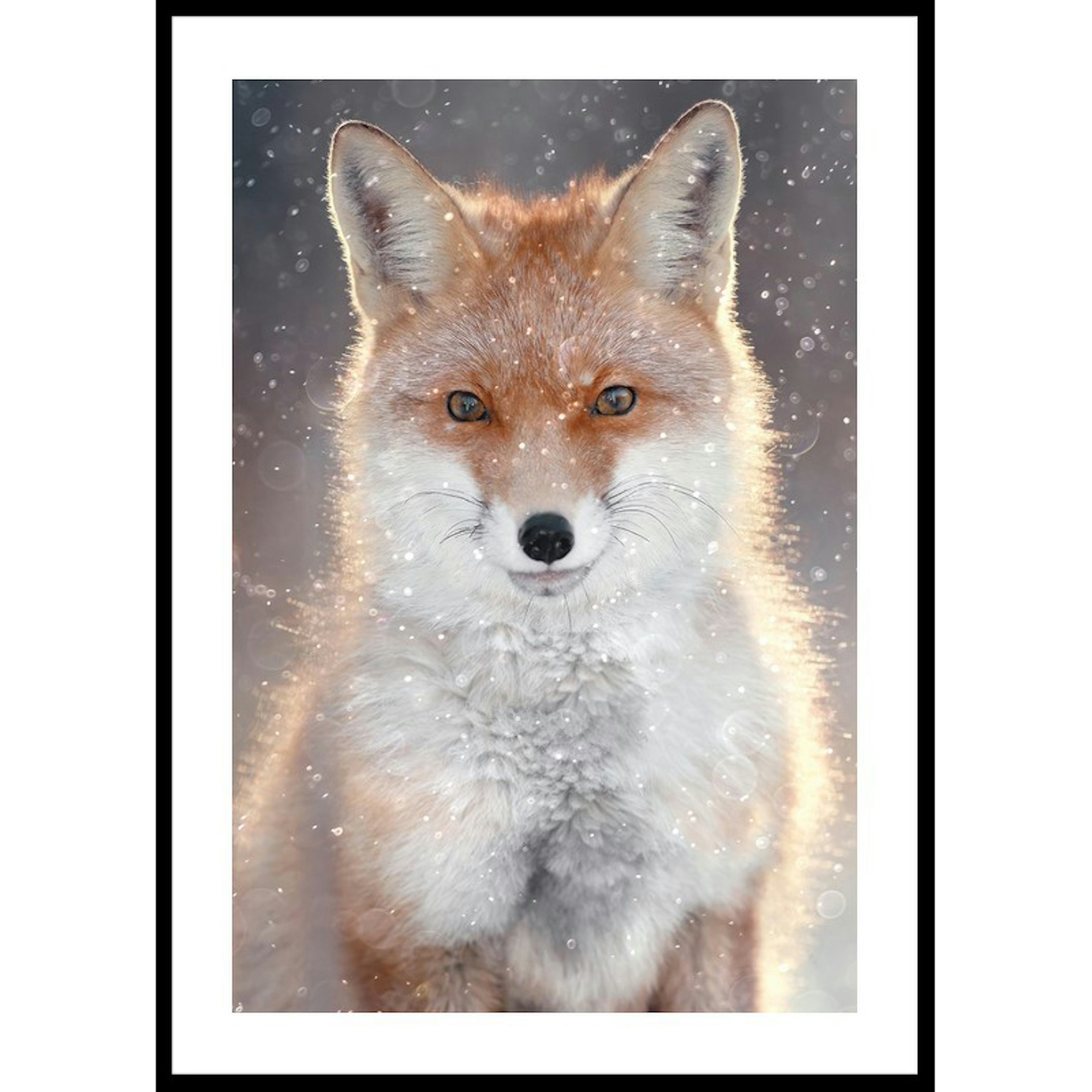Poster Gallerix Red Fox