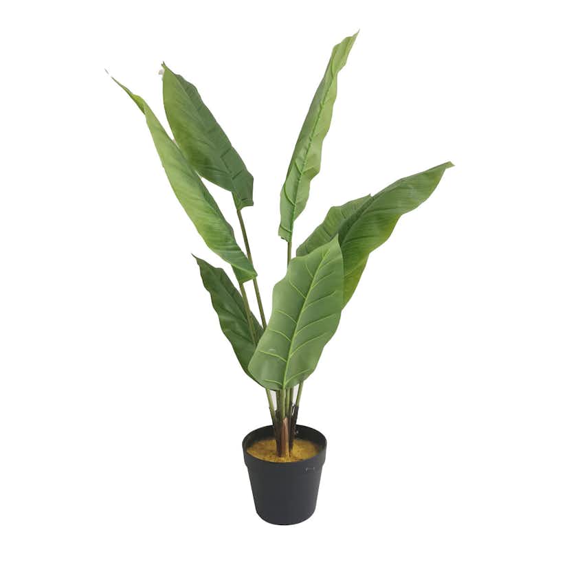 Konstväxt Lykke Peace Lily