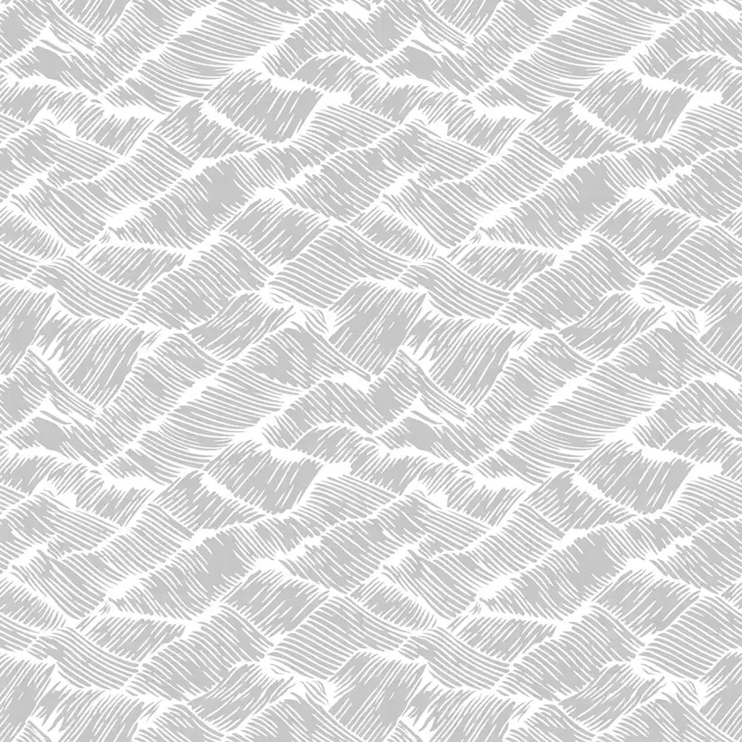 Tapet Coordonné Core 6600004