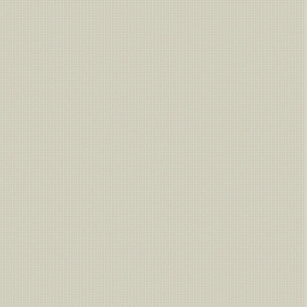 Tapet Coordonné Core 6600061