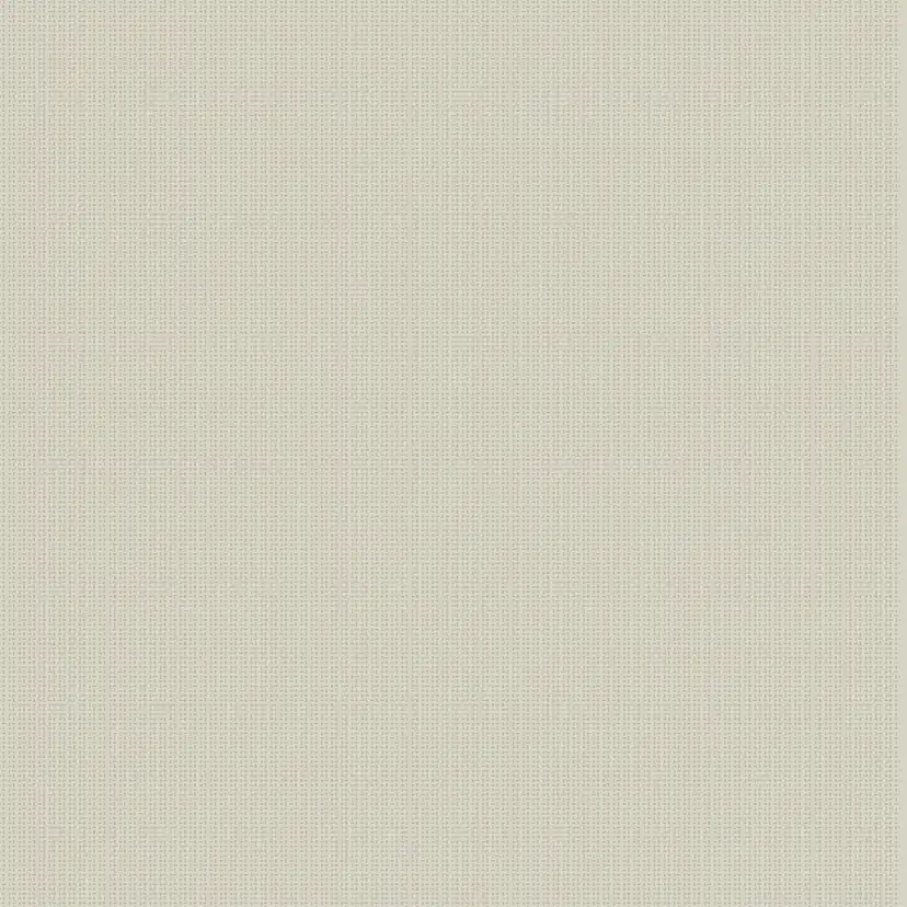 Tapet Coordonné Core 6600061