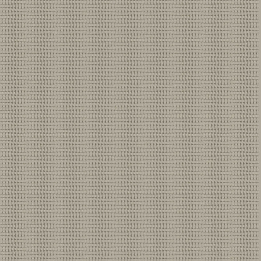 Tapet Coordonné Core 6600062