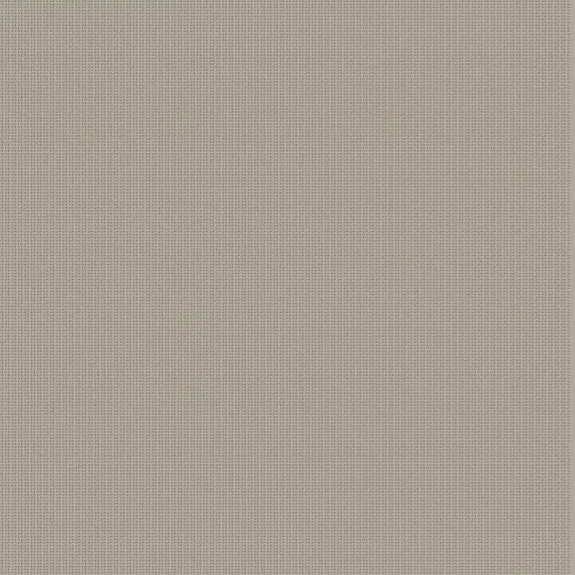 Tapet Coordonné Core 6600062