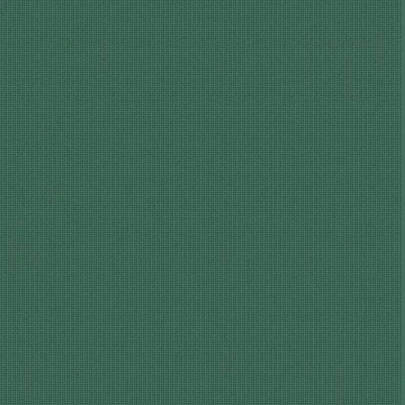 Tapet Coordonné Core 6600065