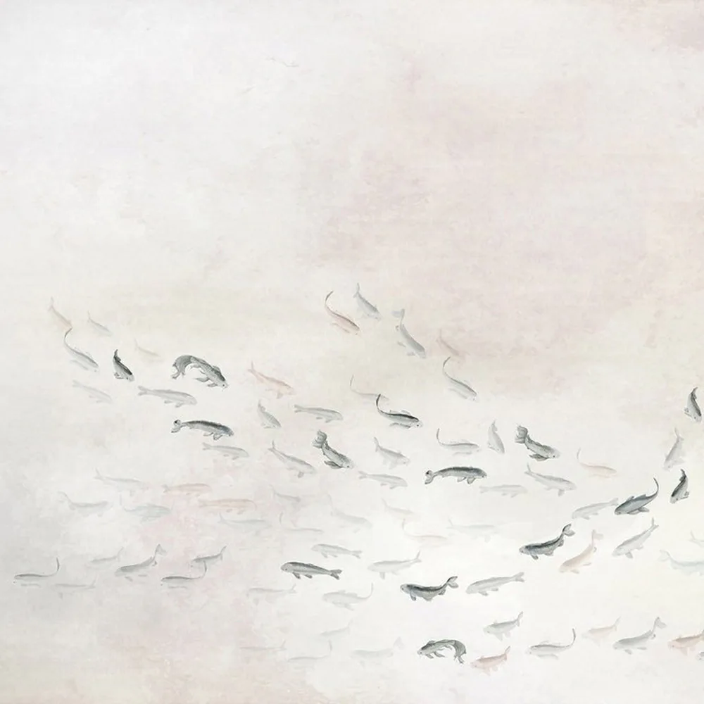 Tapet Coordonné Core 6600081