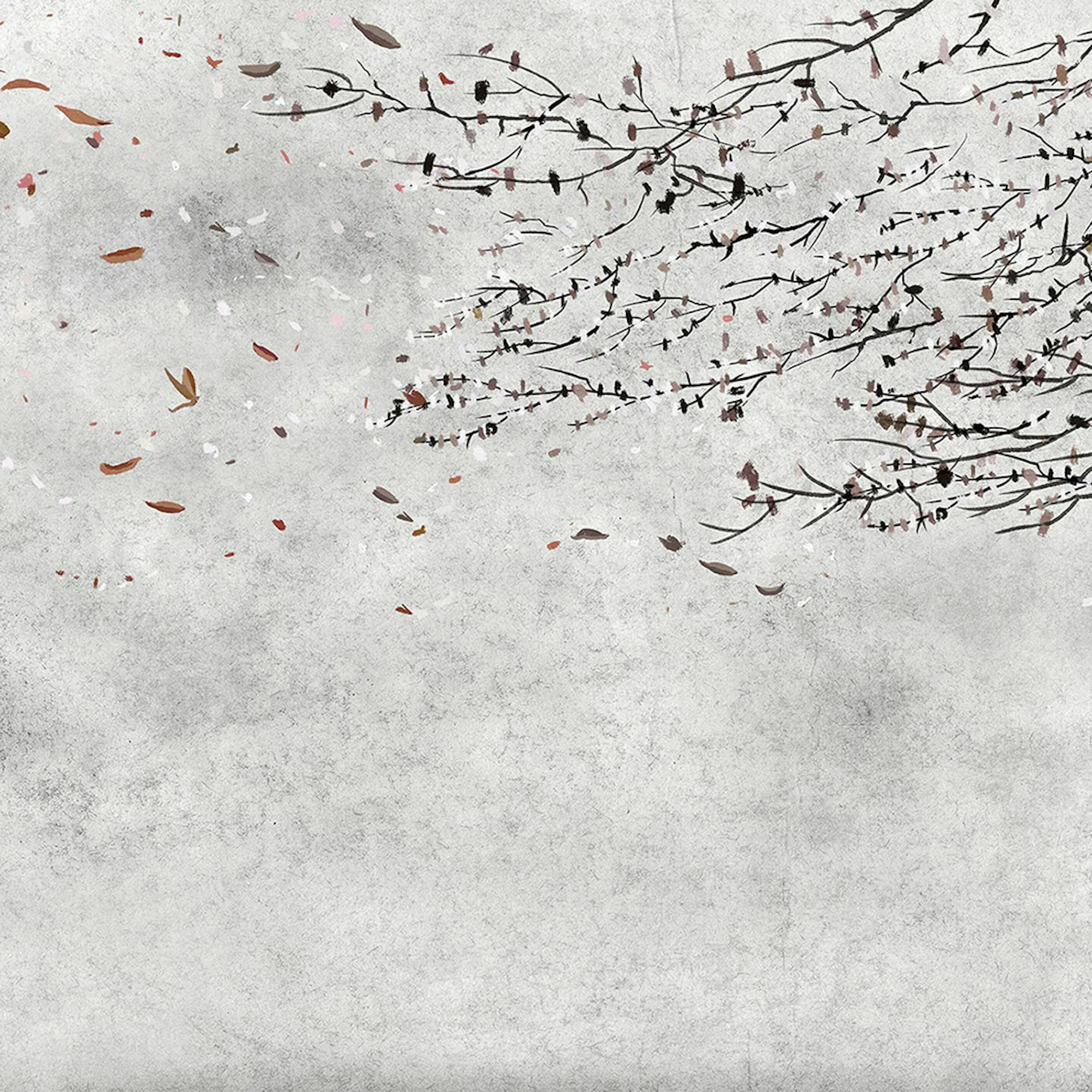 Tapet Coordonné Core 6600085