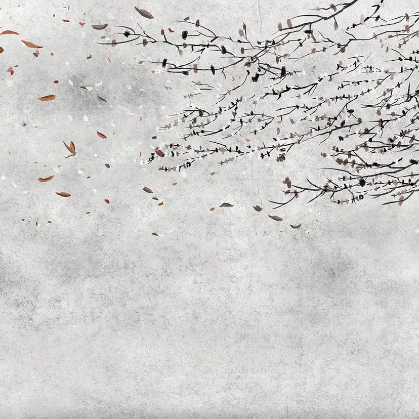 Tapet Coordonné Core 6600085