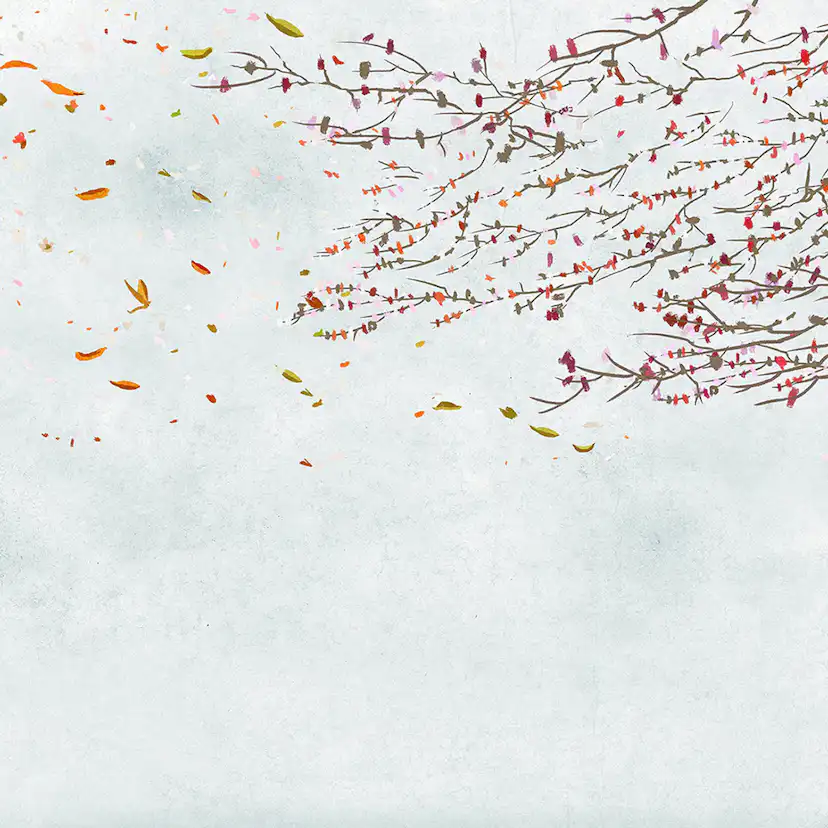 Tapet Coordonné Core 6600087