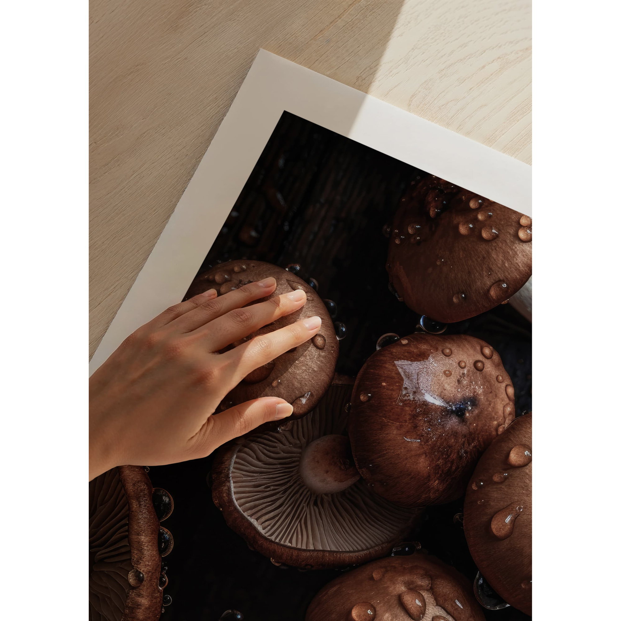 Poster Gallerix Mushrooms No2