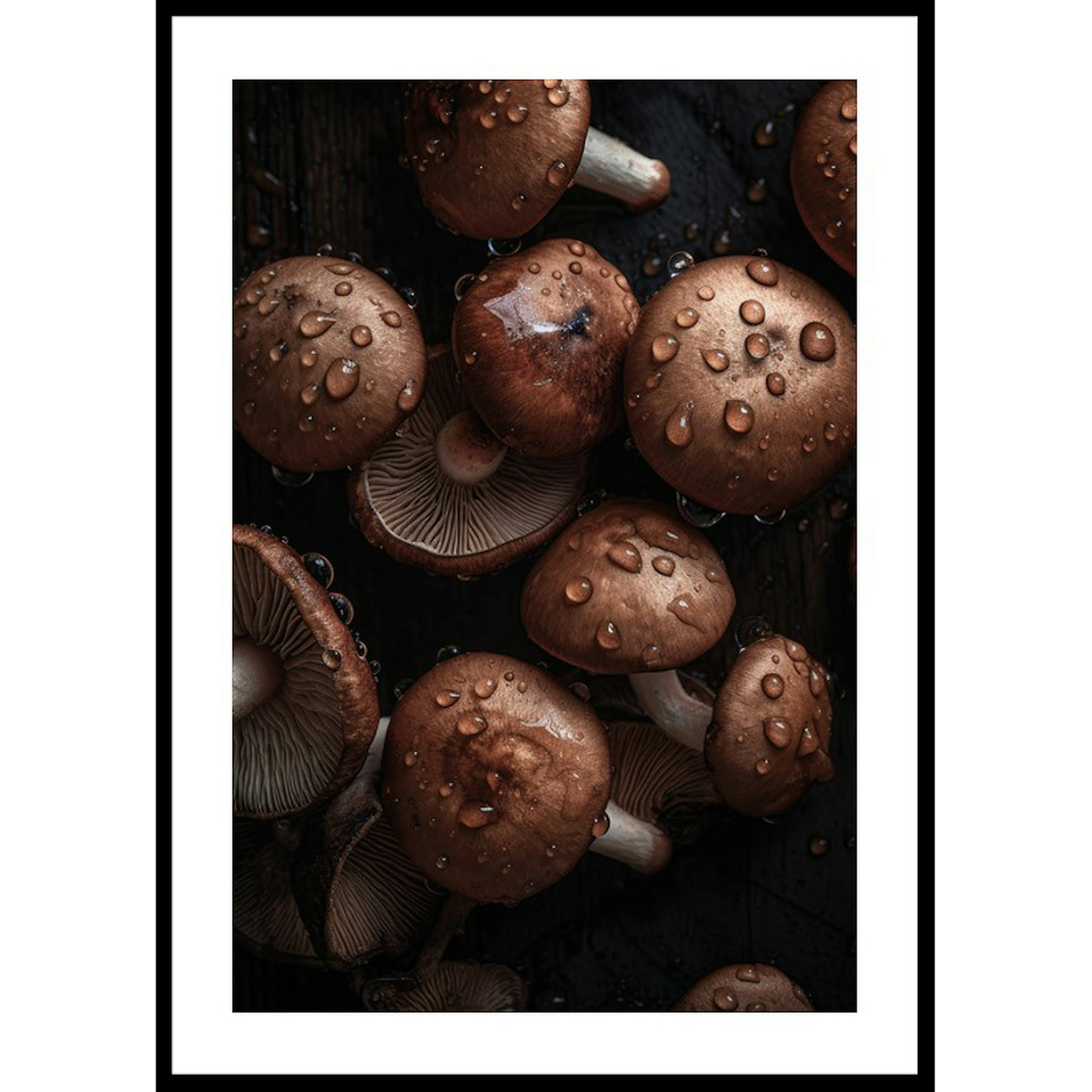 Poster Gallerix Mushrooms No2