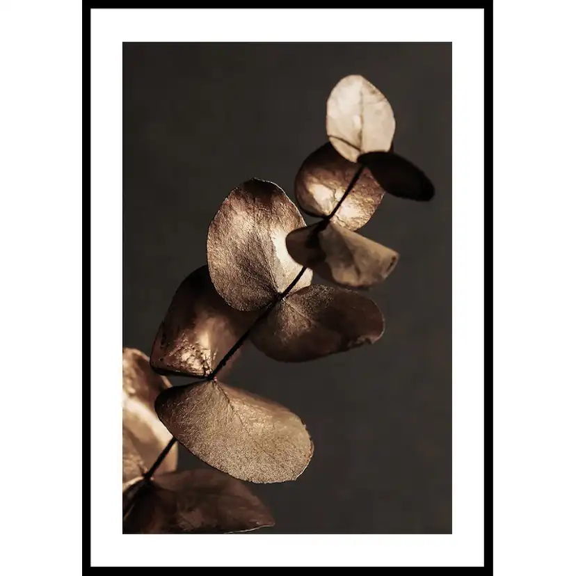 Poster Gallerix Eucalyptus Gold & Brown