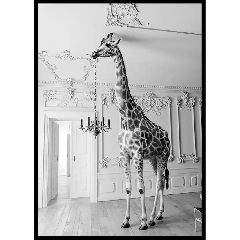 Poster Gallerix Giraffe Indoor B&W