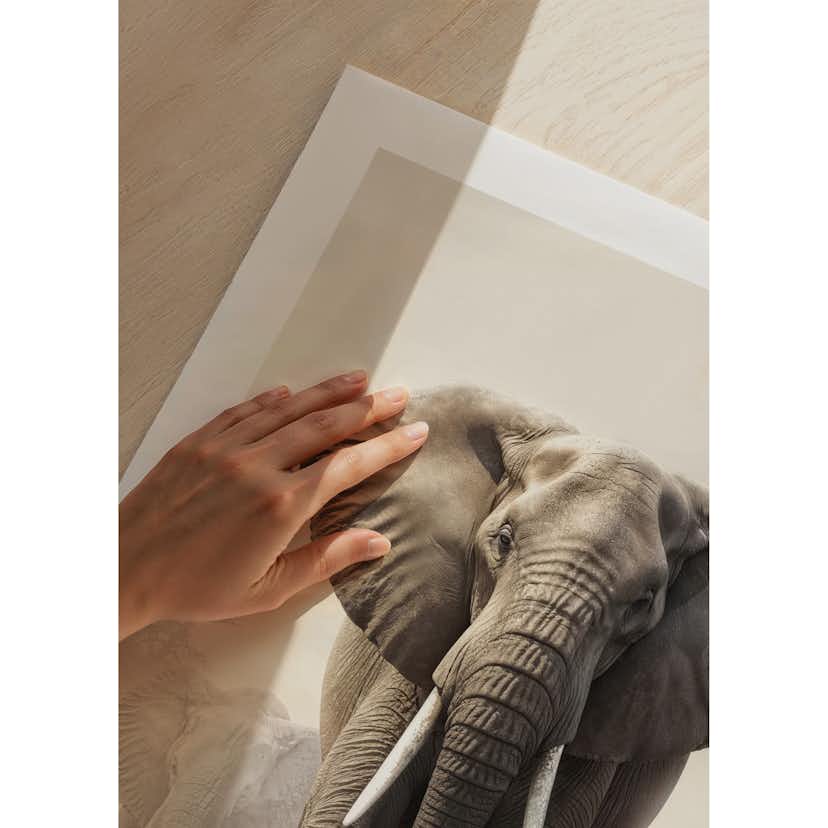 Poster Gallerix Elephant Matriarch