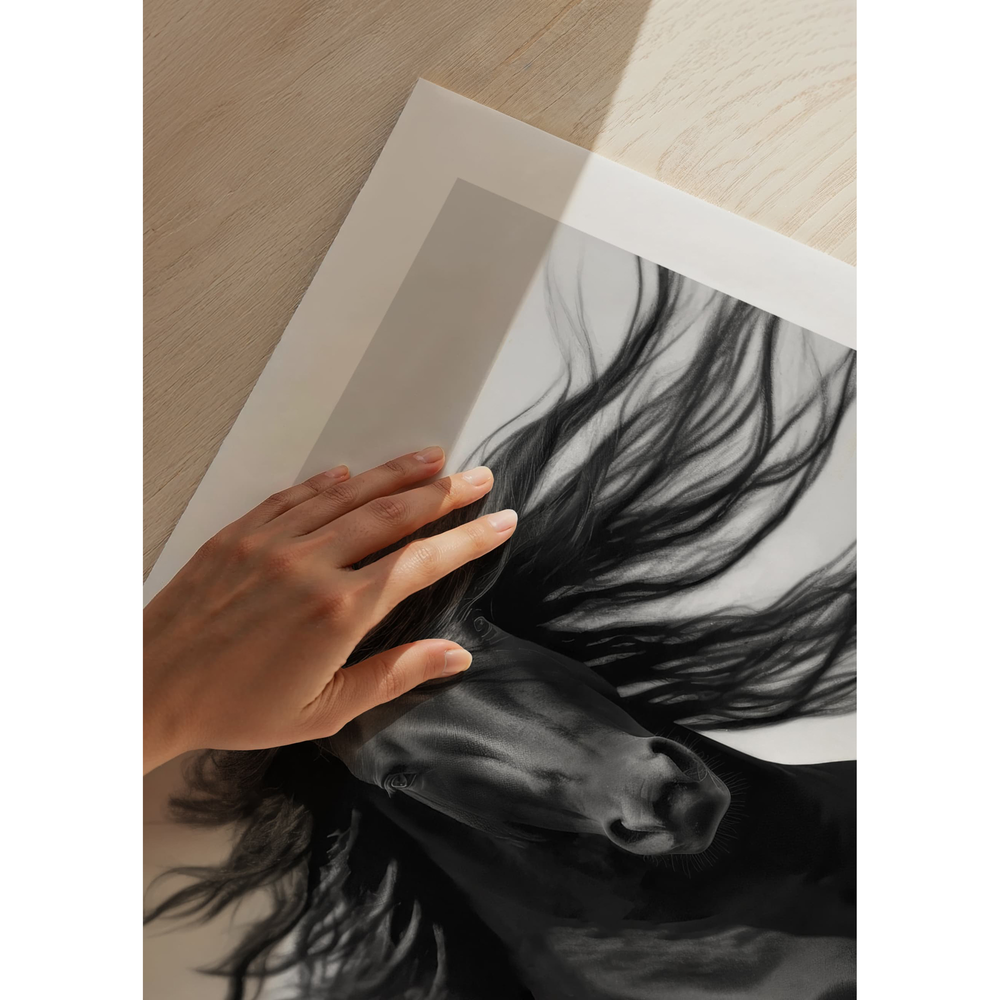 Poster Gallerix Black Horse Show No2