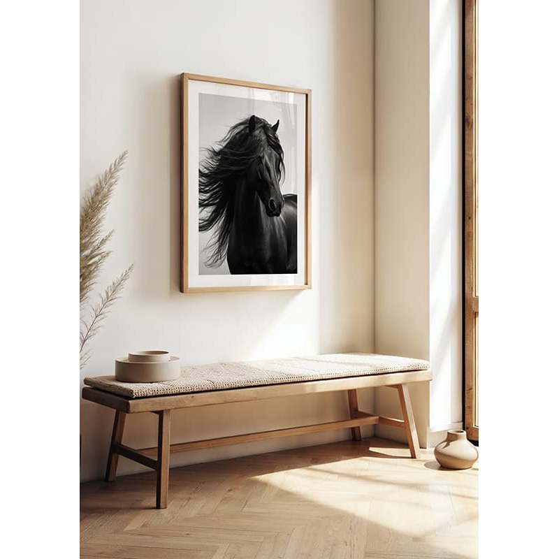 Poster Gallerix Black Horse Show No1