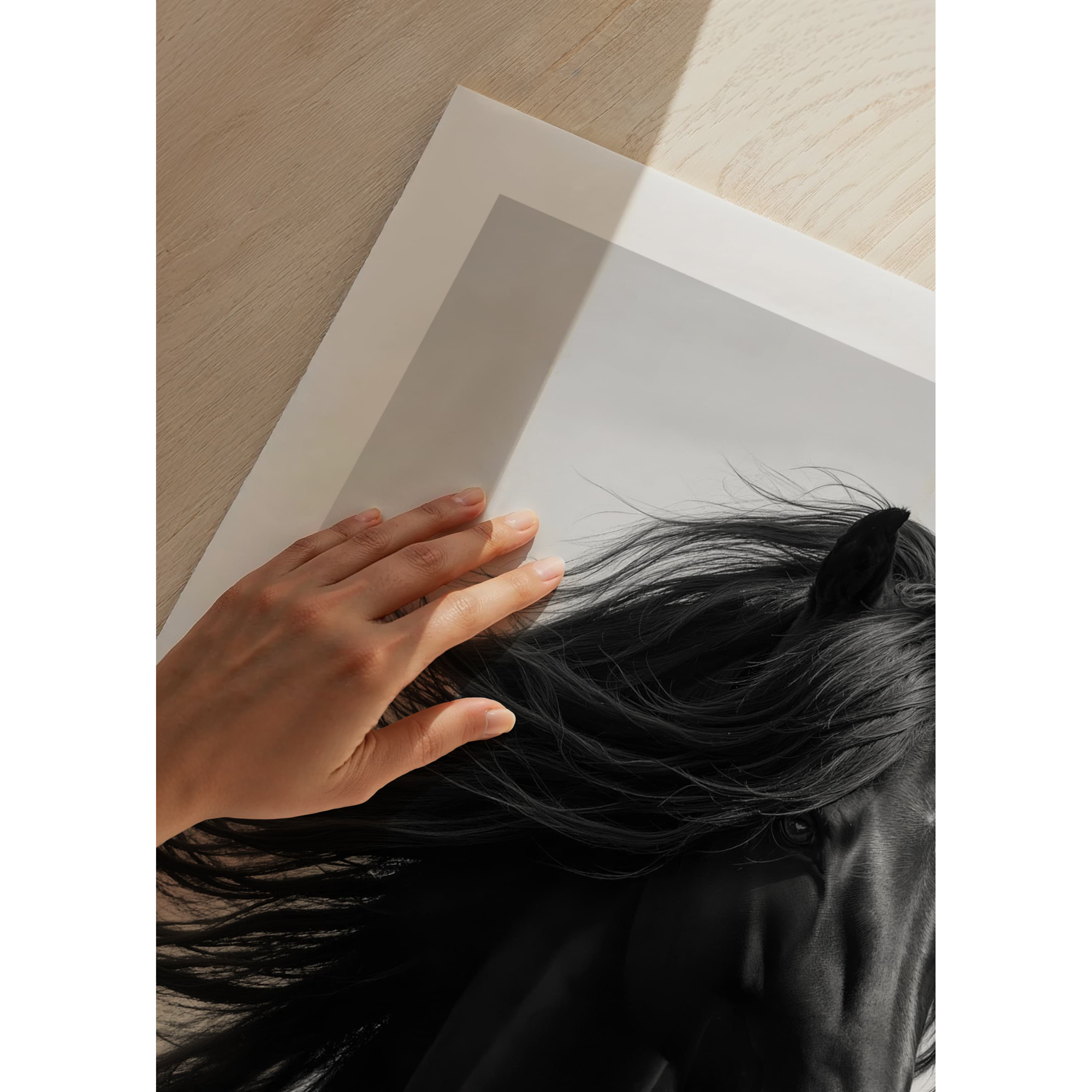 Poster Gallerix Black Horse Show No1