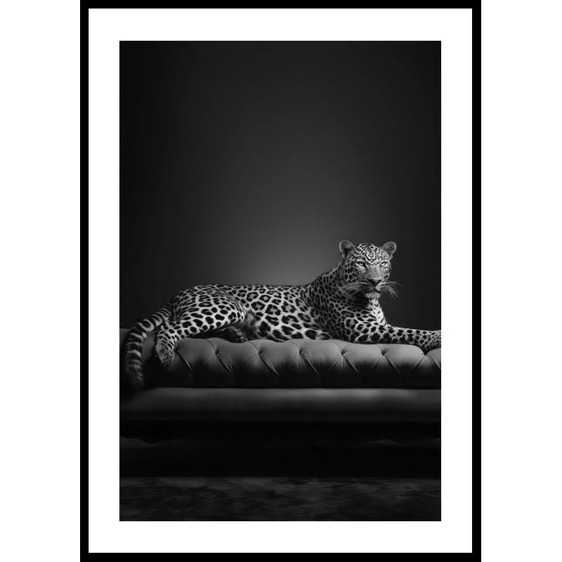Poster Gallerix The Pet Leopard B&W
