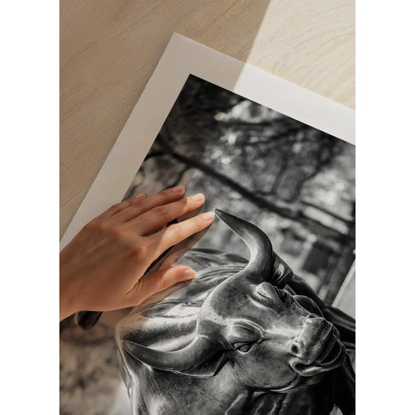 Poster Gallerix Charging Bull No2