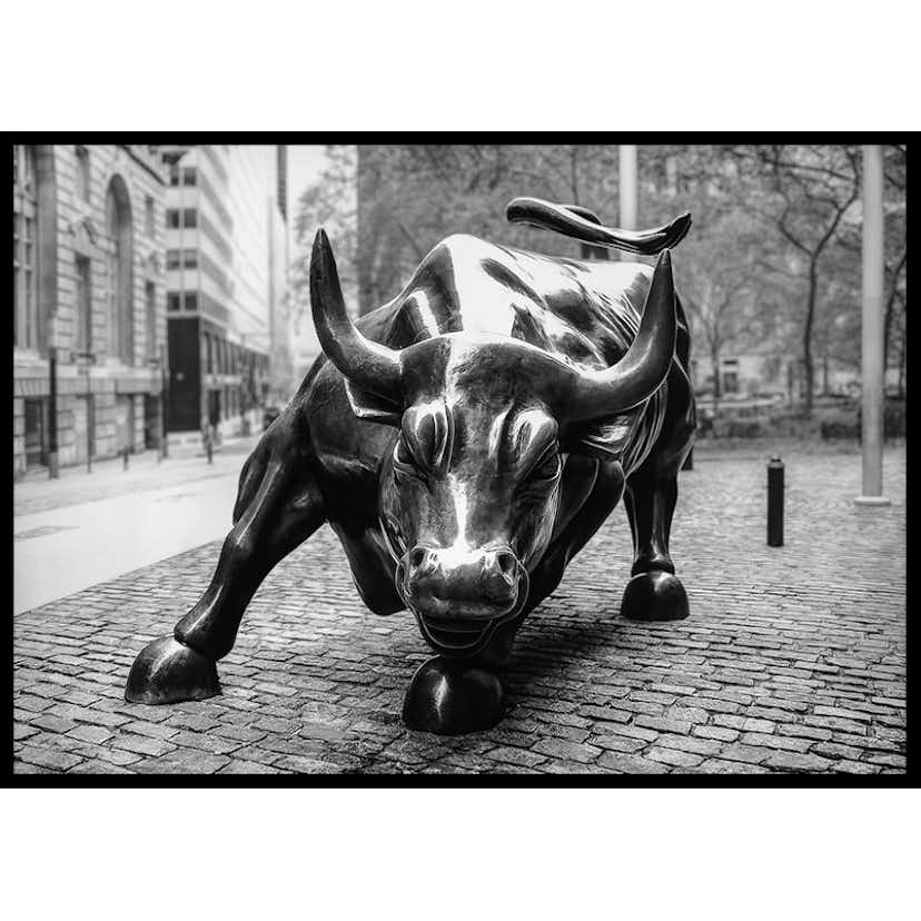 Poster Gallerix Charging Bull No1