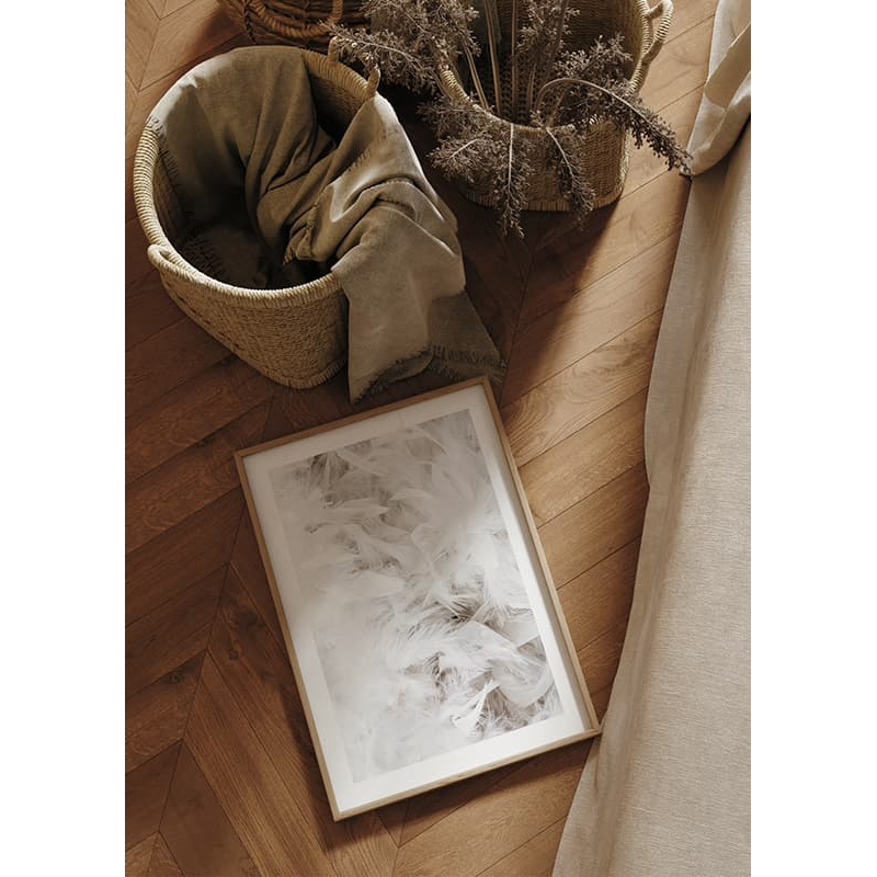 Poster Gallerix White Feathers