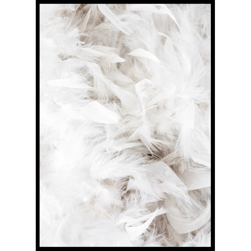 Poster Gallerix White Feathers