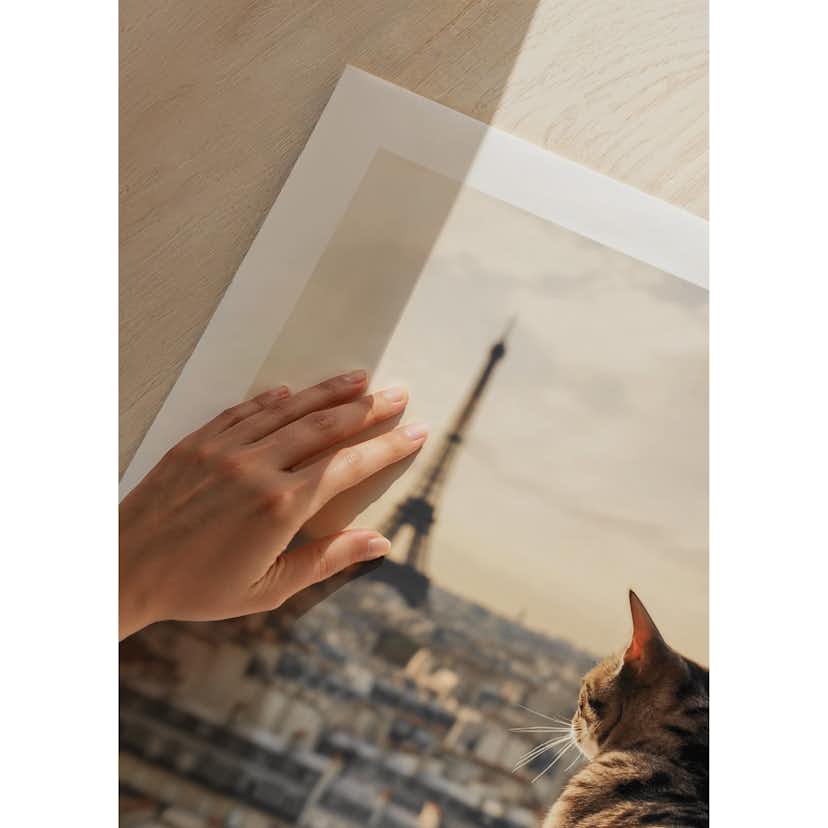Poster Gallerix Cat In Paris