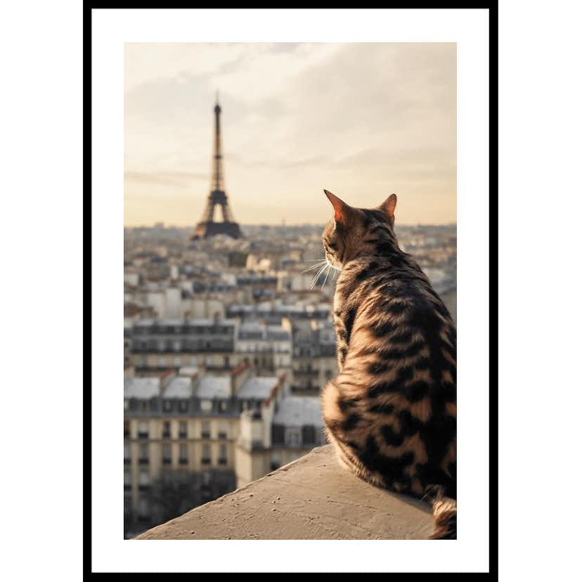 Poster Gallerix Cat In Paris