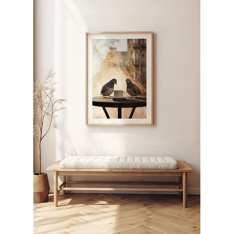 Poster Gallerix Pigeons