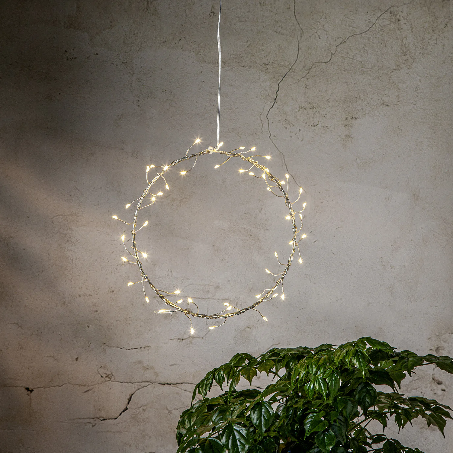 Hängande Dekoration Star Trading Poppy