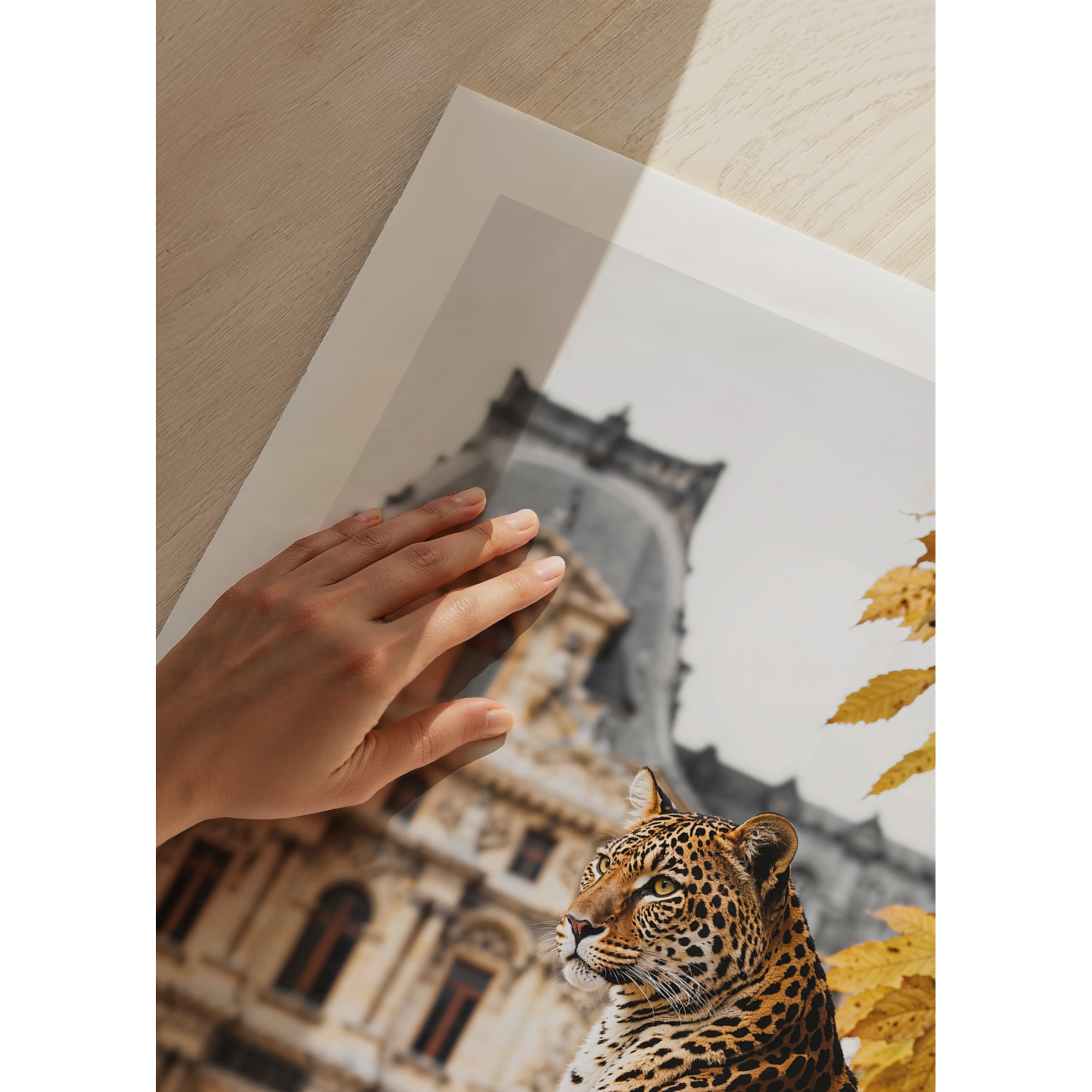 Poster Gallerix Jaguar Watching