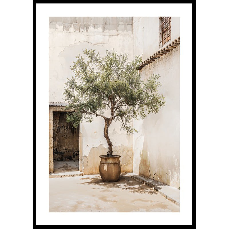 Poster Gallerix Olive Tree Mediterranean Setting No2
