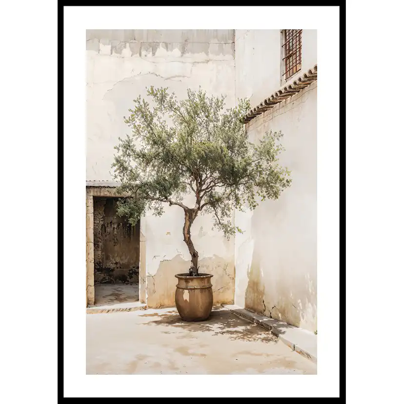 Poster Gallerix Olive Tree Mediterranean Setting No2