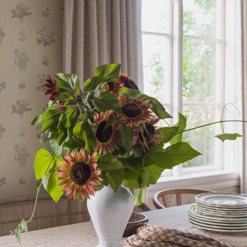 Tapet Boråstapeter Ängsflora 6951