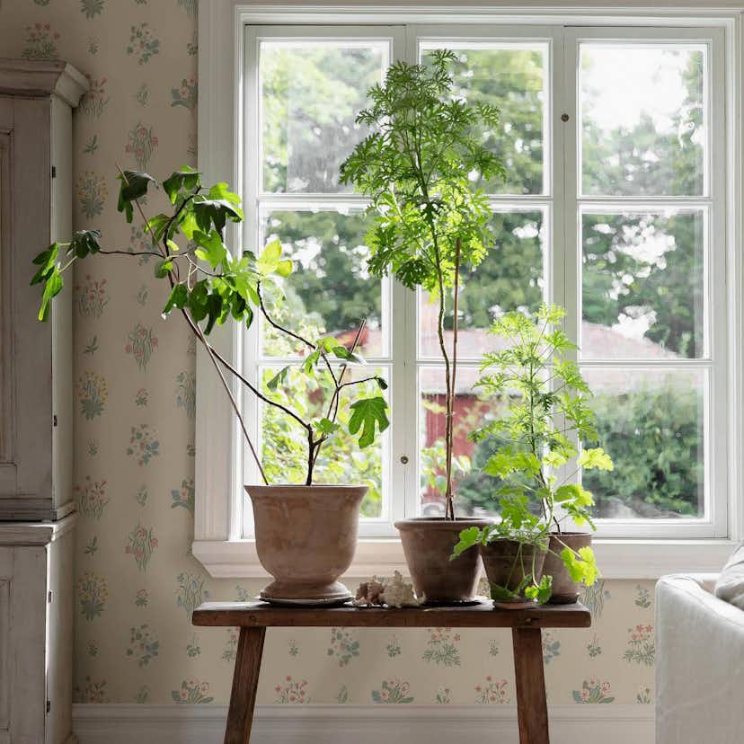 Tapet Boråstapeter Ängsflora 6951