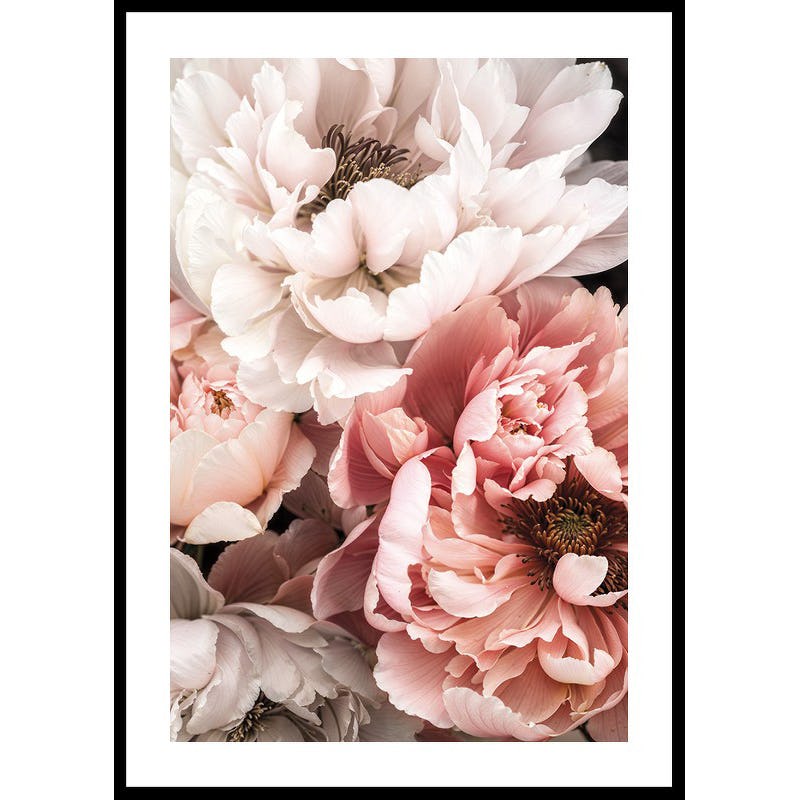 Poster Gallerix Blushing Petals