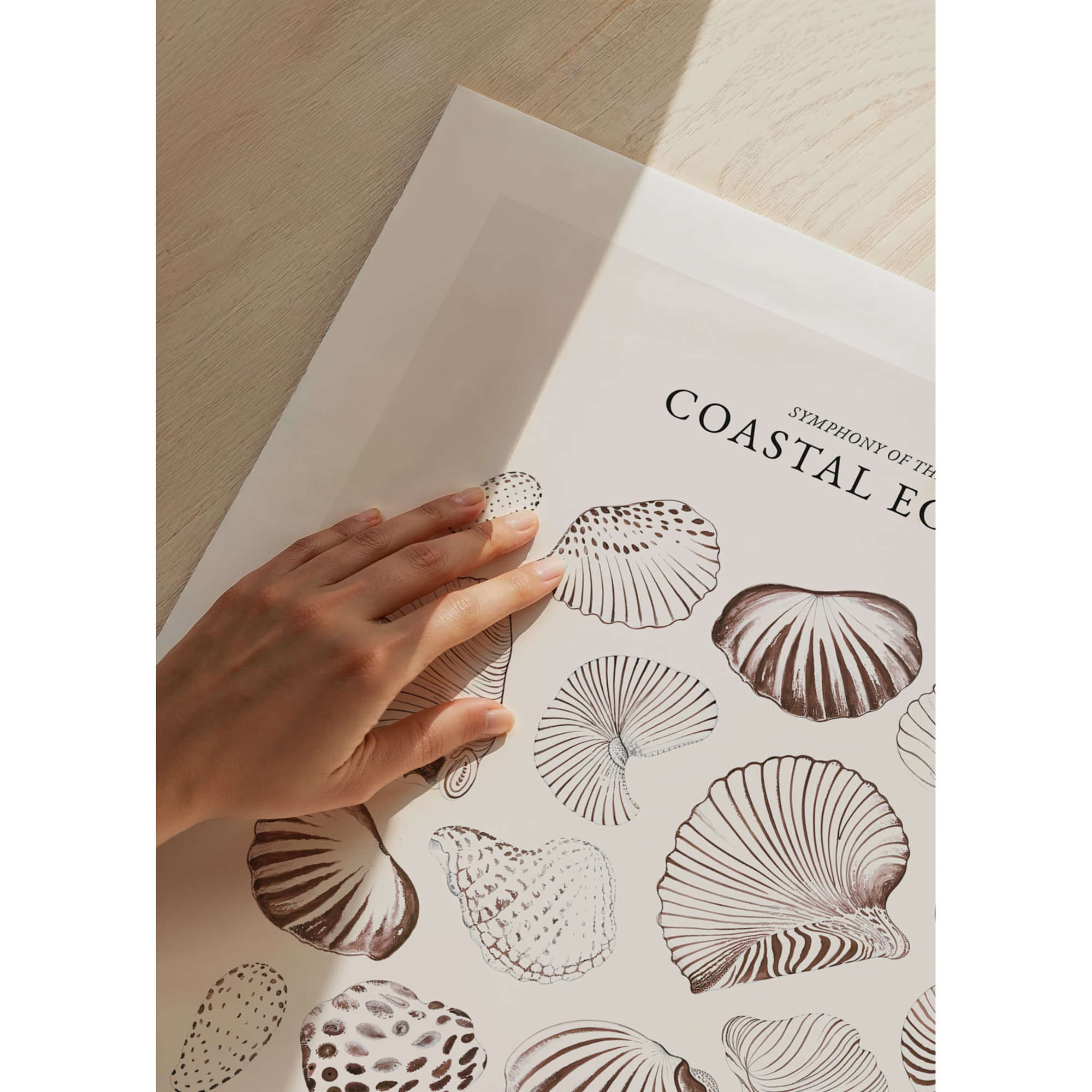 Poster Gallerix Coastal Echoes