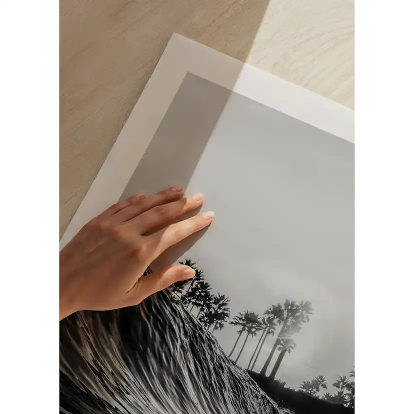 Poster Gallerix Monochromatic Wavefront