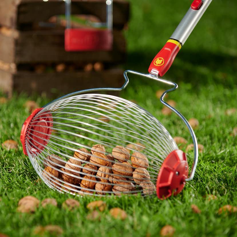 Fruktsamlare WOLF-Garten FC-MS Small Multi-Star