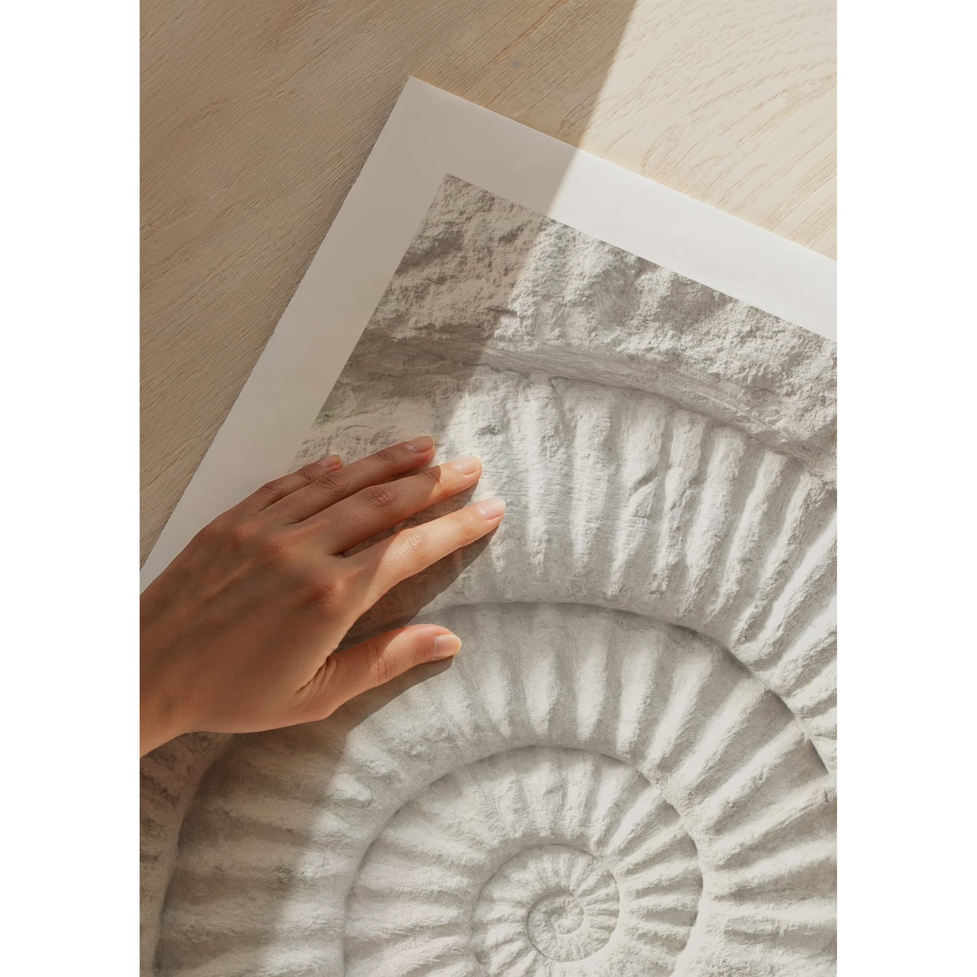 Poster Gallerix The Nautilus Carving