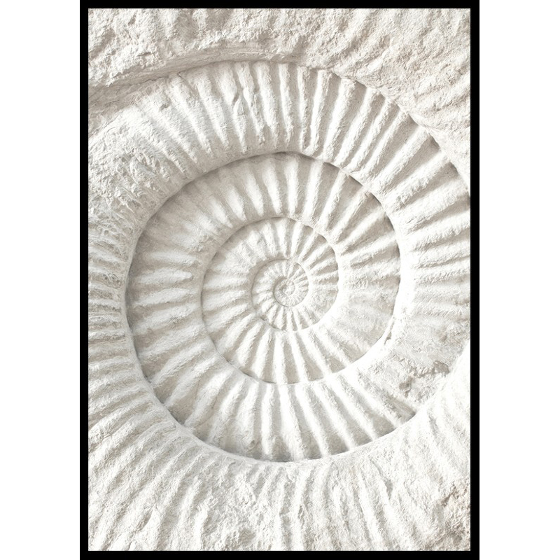 Poster Gallerix The Nautilus Carving