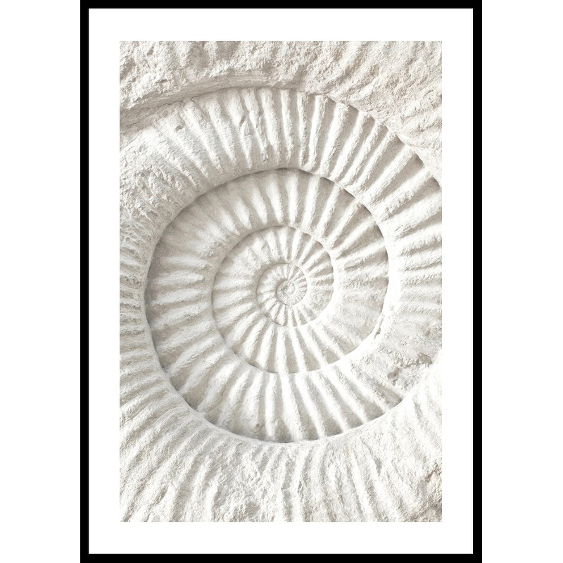 Poster Gallerix The Nautilus Carving