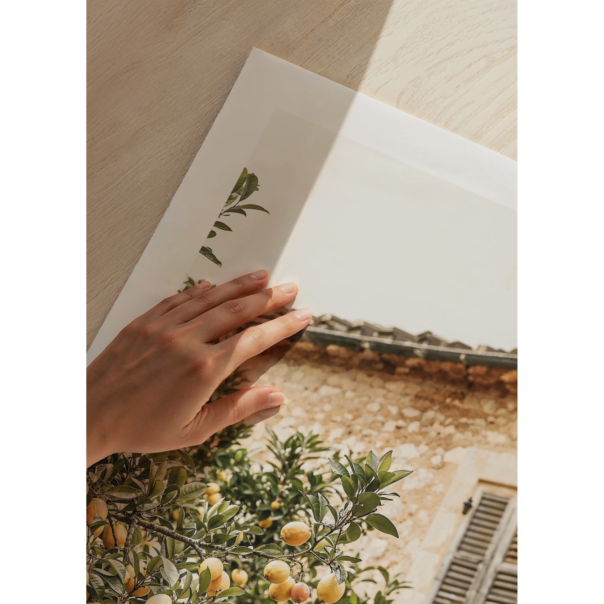 Poster Gallerix Lemon Grove Serenade