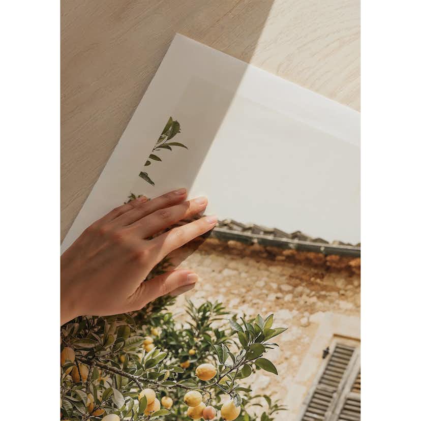 Poster Gallerix Lemon Grove Serenade