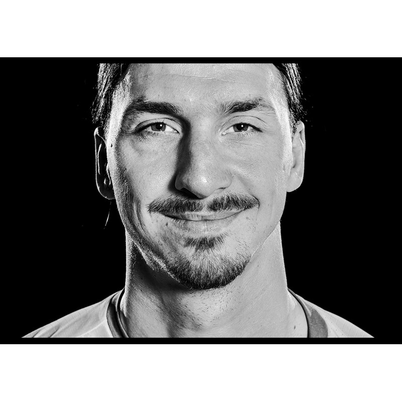 Poster Gallerix Zlatan Ibrahimovic Portrait 2016