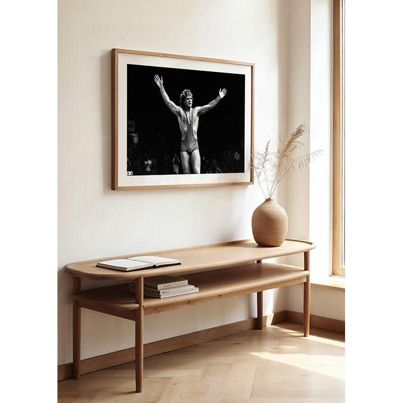 Poster Gallerix Frank Andersson Guld 1977