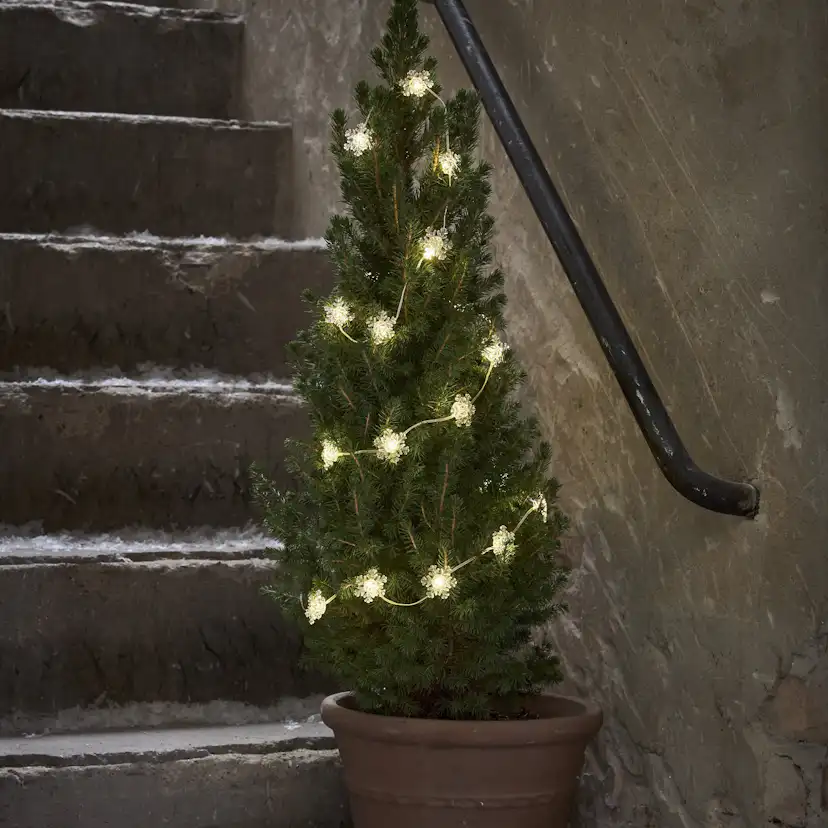 Ljusslinga Star Trading Snowstar