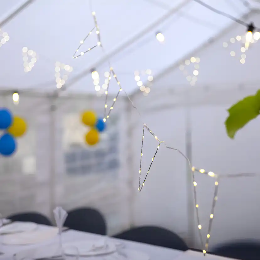 Ljusslinga Star Trading Penny Utomhus LED