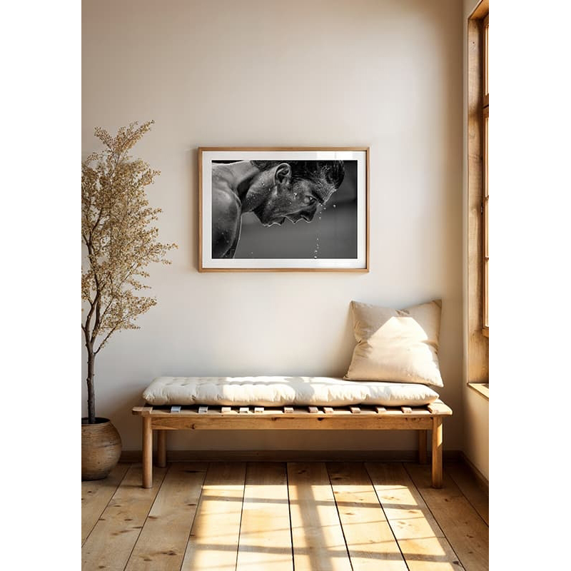 Poster Gallerix Michael Phelps 2016