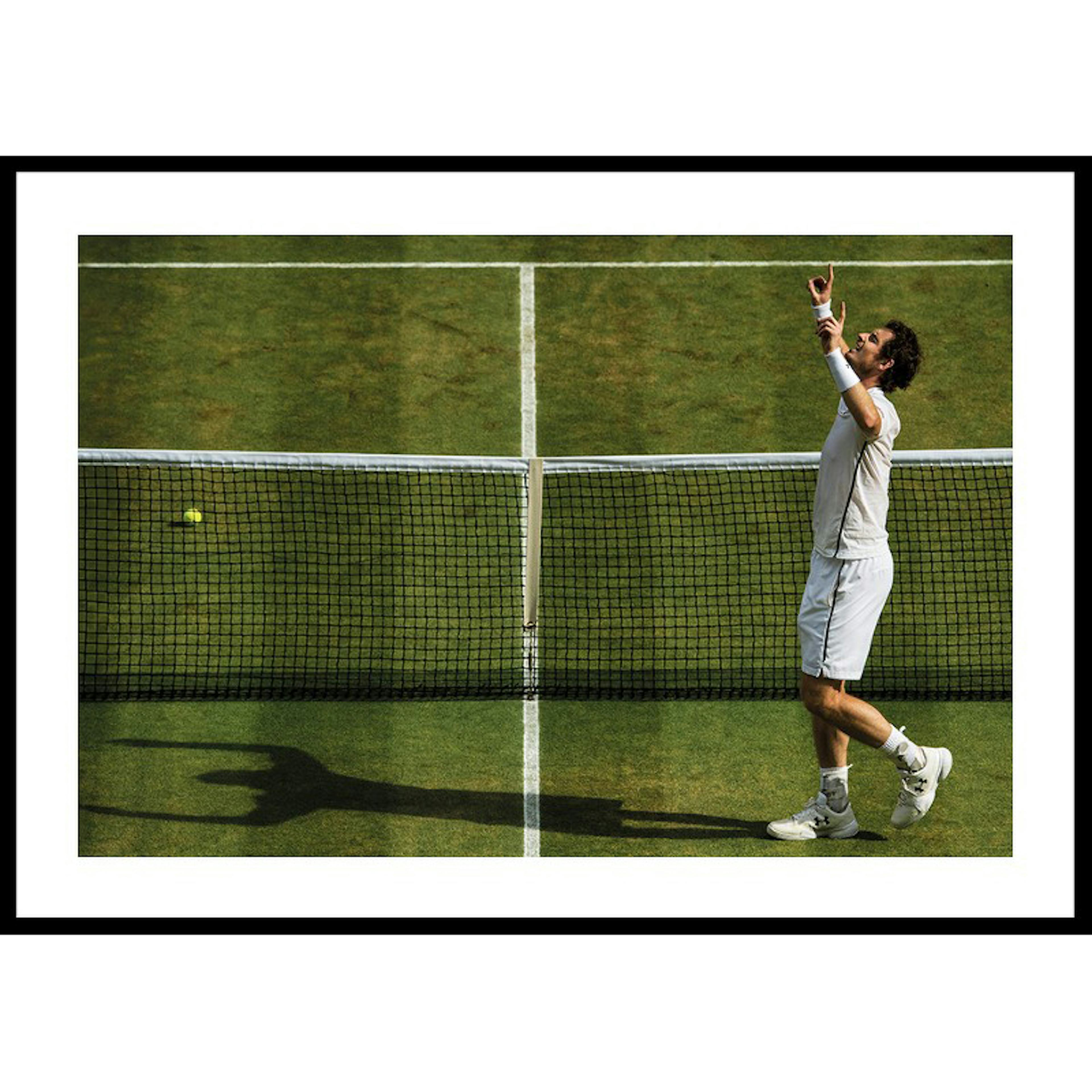 Poster Gallerix Andy Murray Wimbledon 2016
